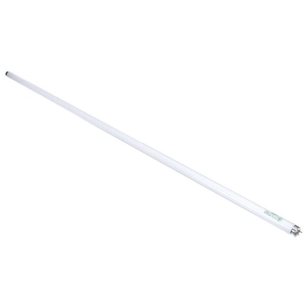 Lamp - Phillips 32W F32T8